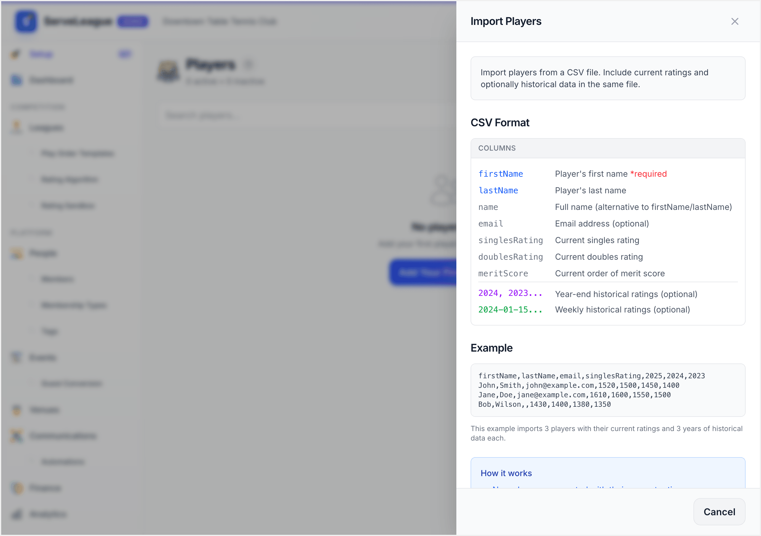 Import panel showing CSV format instructions and example before a file is selected